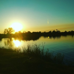 Александр Воронин, 29.09.1986, Алматы