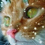 Мария Астахова, 02.03