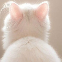 Wiktor Tor, 22.05, Wrocław