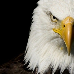 Умар Норов, 19.02.1994, Москва