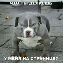 Андрей Коротков, 24.05, Санкт-Петербург