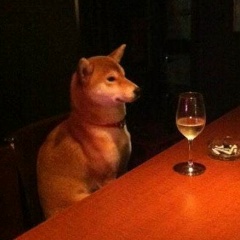 Даниил Переяслов, Фрязино