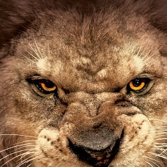 Асылжан Таужанов, 04.11.1996, Атырау