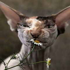 Татьяна Василенко, 21.02, Киев