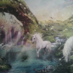 Вардан Хачатрян, 16.08