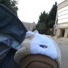 Vusal Aliyev, 31.10.1986, Баку