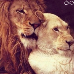 Валентин Дмитриевич, 25.07, Красноярск