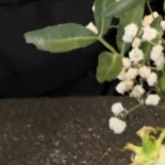 Татьяна Татьянина