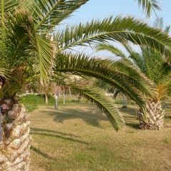 Галина Гефт, 13.09