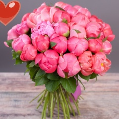 Аякоз Кадырбекова, 18.08, Алматы