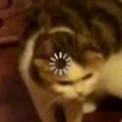 Степан Германович, 21.09.2003