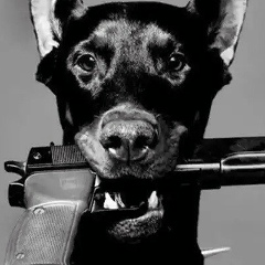 Нюта Шалагина, Владимир