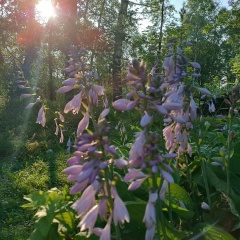 Екатерина Корнева, 19.08.1982, Москва