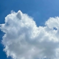 Федор Птицын, 03.08.1985, Москва