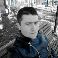 Дмитрий Левичев, Санкт-Петербург