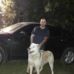 Вруер Мнацаканян, 26.02.1985, Киев