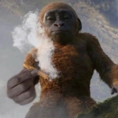 Виктор Шевцов, 13.11, Шахты