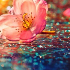 Ирина Потапова, 13.08.1989, Москва