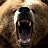 Иван Иванов, 06.01, Архангельск