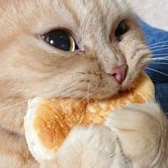 Мария Аппаратова, 02.03.1988, Санкт-Петербург