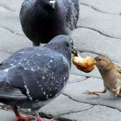 Наталия Кириченко