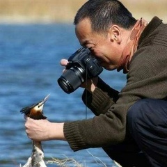 Кирилл Полятский, 18.04.1985, Мелитополь