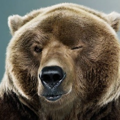 Виталий Рупп, 30.12.1982, Санкт-Петербург