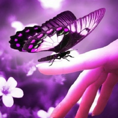 Айнура Сапарова, 10.02, Алматы