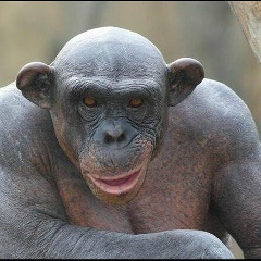 Александр Жи, 01.02.1978, Санкт-Петербург