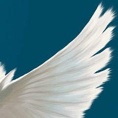 Евгения Студнева, 25.07.1988, Санкт-Петербург