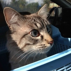 Олеся Королева, 03.09, Москва