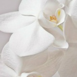 Елена Фомина, 30.08, Петрозаводск