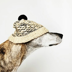 Евгений Титов, Санкт-Петербург