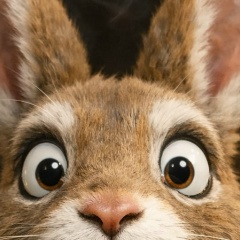 Koka Shubladze, Москва