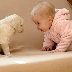 Indira Abilkassymova, 11.07.1990, Алматы