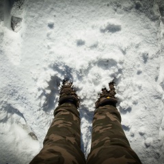 David Newman, 31.01.1985, Сочи