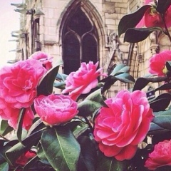 Седа Алиева, 06.10.1998, Грозный