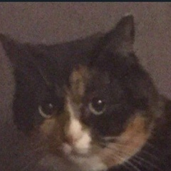 Сана Немеев, Москва