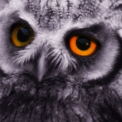 Василий Глушков, 31.10.1965, Донецк