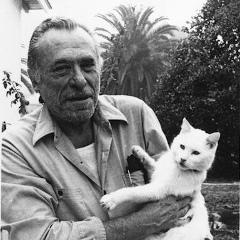 Даниел Каратаев, 27.07, Dublin