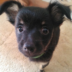 Андрей Рубцов, 17.12.1983, Лермонтов