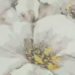 Екатерина Важнова, 29.12.1981, Москва