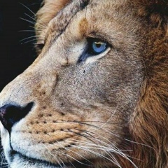 Расул Юсупов, 21.01, Ростов-на-Дону