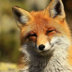 Александр Тюрин, 03.08.1988, Санкт-Петербург