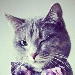 Антоха Шпак, 11.11, Санкт-Петербург