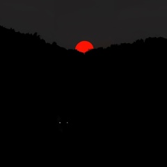 Ленусик Панацея, 03.09.1991, Санкт-Петербург