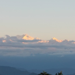 Алексей Новичихин