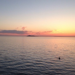 Ерлан Калыбеков, 05.12, Алматы