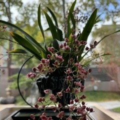 Слава Чжай, 28.11, Shanghai