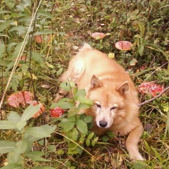 Витя Белый, 28.05.1984, Москва